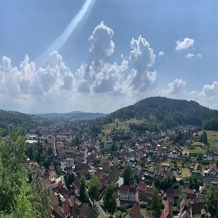 Panoramic Retreat In Thuringia, Cleaning Included Casa vacanze *